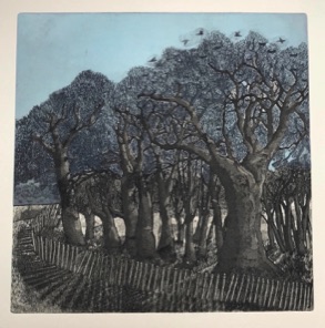 A rookery etchingfor sale etching & aquatint